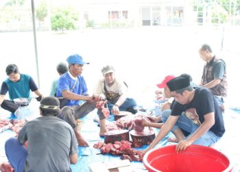 PTPN I dan KSO PTPN IV Regional 7 Potong 153 Hewan Kurban