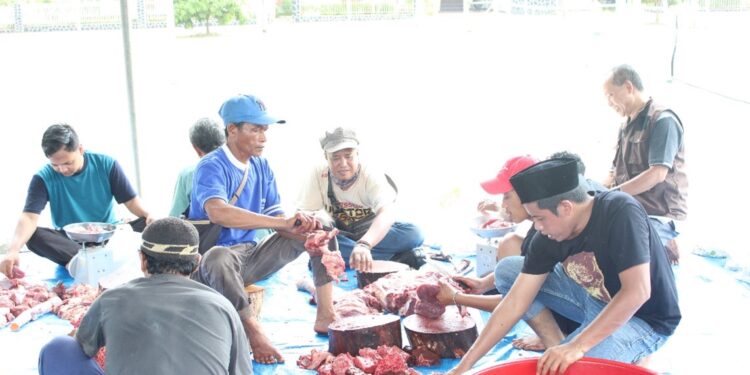 PTPN I dan KSO PTPN IV Regional 7 Potong 153 Hewan Kurban