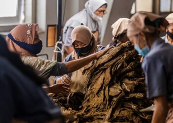Perluas Pangsa Pasar Baru ke Turki dan Spanyol, PTPN I Regional 4 Targetkan Pendapatan Komoditas Tembakau 2024 Tembus 374,78 Miliar