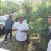 Direktur Operasional PTPN I  Kunjungi Unit Kebun Regional 3