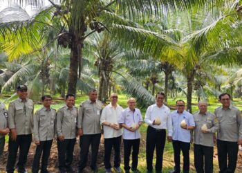 Kunjungan Menteri Pertanian ke Kebun Kopyor PT Riset Perkebunan Nusantara (RPN)