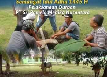 Pelaksanaan Qurban PT Sri Pamela Medika Nusantara Rayakan Idul Adhan 1445 H dengan Semangat Kebersamaan