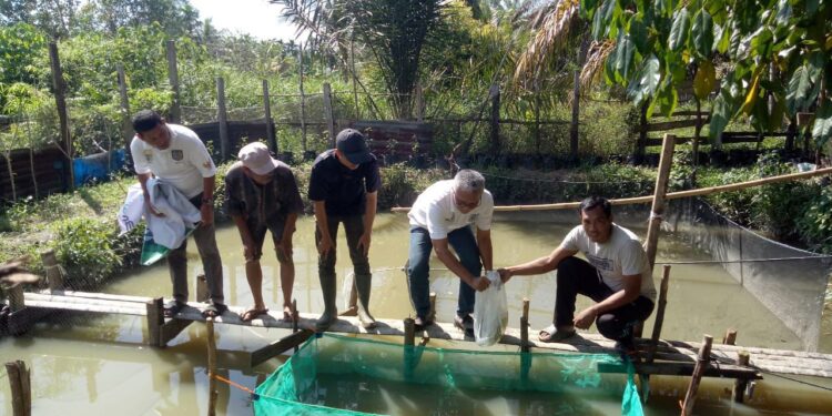 PTPN IV Regional 4, Sebar 8500 Benih Ikan di Kolam PKS