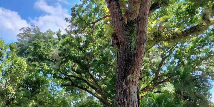 GAYA HIDUP YANG MERACUNI