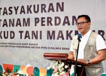 PTPN IV PalmCo Rekor Tanam Ulang Tercepat Nasional