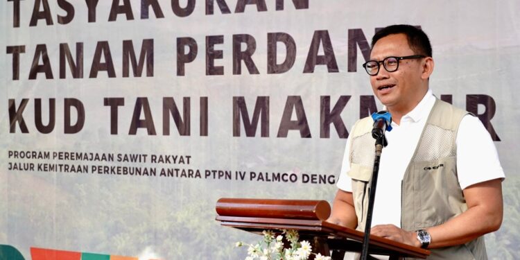 PTPN IV PalmCo Rekor Tanam Ulang Tercepat Nasional