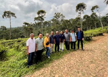 Monitoring Peningkatan Efisiensi dan Produktivitas, Direktur Holding PTPN III (Persero) Kunjungi Kebun Jolotigo dan Semugih