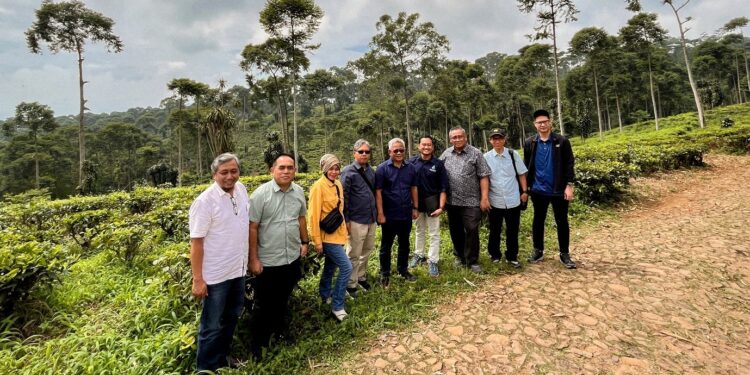 Monitoring Peningkatan Efisiensi dan Produktivitas, Direktur Holding PTPN III (Persero) Kunjungi Kebun Jolotigo dan Semugih