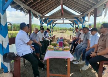Potensi Giling PG Glenmore Tahun Ini Luar Biasa