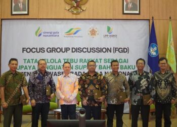 SGN: Upaya Swasembada Gula Harus Turut Meningkatkan Kesejahteraan Petani Tebu