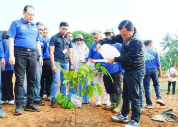 Hari Lingkungan Hidup Sedunia 2024, Al Haris Ajak Berkomitmen Jaga Lingkungan