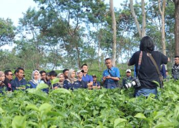 Perkuat Peran Admin Sosial Media, PTPN I Regional 5 Gelar Pelatihan Fotografi