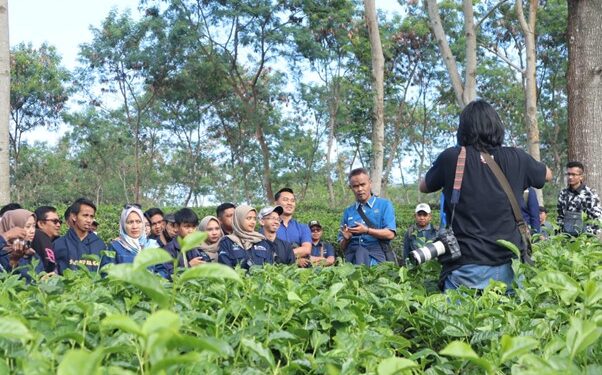 Perkuat Peran Admin Sosial Media, PTPN I Regional 5 Gelar Pelatihan Fotografi