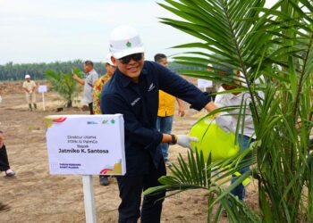 Target 60.000 Ha Peremajaan , Begini Cara PalmCo Gandeng Petani Sawit Indonesia
