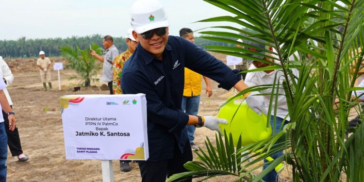 Target 60.000 Ha Peremajaan , Begini Cara PalmCo Gandeng Petani Sawit Indonesia
