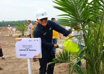 Target 60.000 Ha Peremajaan,  Begini Cara PalmCo Gandeng Semua Petani Sawit Indonesia