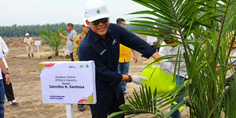 Target 60.000 Ha Peremajaan,  Begini Cara PalmCo Gandeng Semua Petani Sawit Indonesia