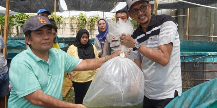 IKBI dan PTPN IV Regional 4, Sebar 950 Bibit Ikan dan Edukasi Pembuatan Biopori