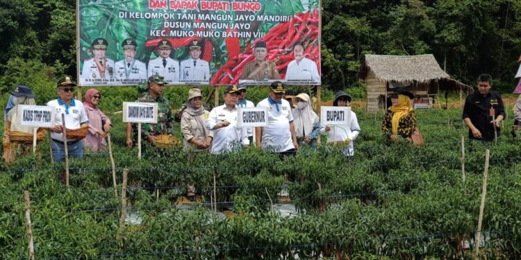 Program Dumisake Gubernur Al Haris Gelontorkan Rp 10,8 Miliar untuk Penguatan Pangan di Provinsi Jambi