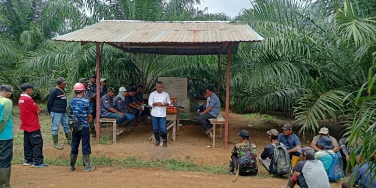 Ngobrol Pintar (Ngopi) bersama Region Head Regional V  “Refreshment Aplikasi Pemupukan”