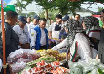 Sejak Pimpin Jambi, Al Haris Telah Kucurkan Rp 35 M untuk Pembangunan Sektor Pertanian