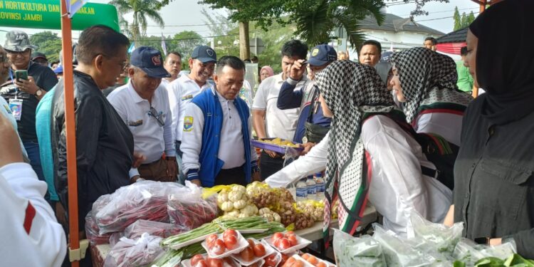 Sejak Pimpin Jambi, Al Haris Telah Kucurkan Rp 35 M untuk Pembangunan Sektor Pertanian