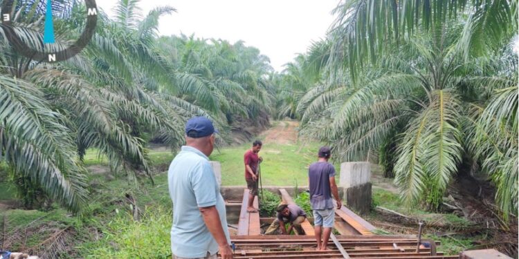 PTPN IV Regional VI KSO Melalui Program TJSL Bantu Perbaikan Jembatan Untuk Masyarakat