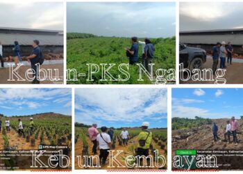 Weekend Produktif Region Head PTPN IV Regional V Kawal Langsung Investasi  On Farm – Off Farm di Kebun – PKS Wilayah Kalimantan Barat