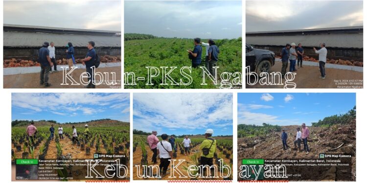 Weekend Produktif Region Head PTPN IV Regional V Kawal Langsung Investasi  On Farm – Off Farm di Kebun – PKS Wilayah Kalimantan Barat