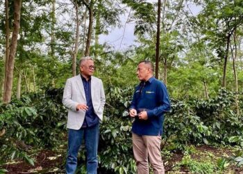 Berhasil Tingkatkan Produktivitas Kebun Kopi Arabika Tertua ke 3 di Bumi, PALMCO BAWA JAVA COFFEE KEMBALI MENDUNIA