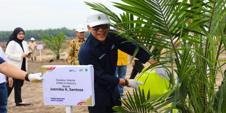 Direktur Utama PTPN IV PalmCo Jatmiko Santosa menanam bibit sawit unggul bersertifikat dalam kegiatan panen perdana program peremajaan sawit rakyat belum lama ini. Jatmiko menekankan bahwa meningkatkan produktivitas dan kesejahteraan petani melalui program PSR maupun penyediaan bibit sawit unggul bersertifikat merupakan wujud untuk terus tumbuh dan berkembang bersama petani