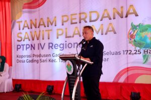 Direktur Utama PTPN IV PalmCo Jatmiko Santosa menanam bibit sawit unggul bersertifikat dalam kegiatan panen perdana program peremajaan sawit rakyat belum lama ini. Jatmiko menekankan bahwa meningkatkan produktivitas dan kesejahteraan petani melalui program PSR maupun penyediaan bibit sawit unggul bersertifikat merupakan wujud untuk terus tumbuh dan berkembang bersama petani