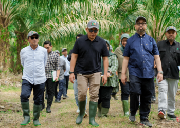 Kunjungan Direktur Utama PalmCo ke Kebun Percobaaan NUSAKlon PT RPN PPKS : Dorong Produktivitas dan Inovasi Berkelanjutan
