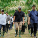 Kunjungan Direktur Utama PalmCo ke Kebun Percobaaan NUSAKlon PT RPN PPKS : Dorong Produktivitas dan Inovasi Berkelanjutan
