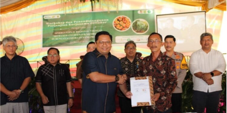 PTPN IV Regional 7 Dukung Peremajaan Sawit Rakyat