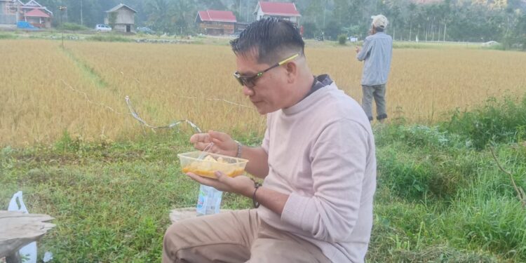 Opini : Hoax dan Pembodohan Terstruktur, Taktik Panik dan Manipulasi dalam Pertarungan Politik  Oleh: Syaiful Bakri *