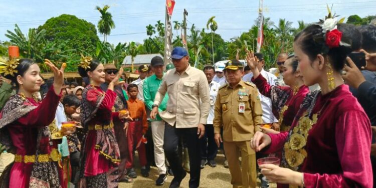 Gubernur Al Haris Dampingi Kunjungan Kerja Wamen Pertanian Sudaryono