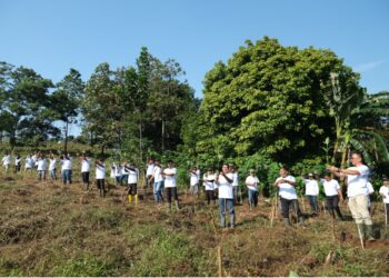 Setahun Tranformasi: PTPN I Regional 3 Lakukan Aksi Tanam Pohon Jabon, Pembagian Sembako dan Donor Darah