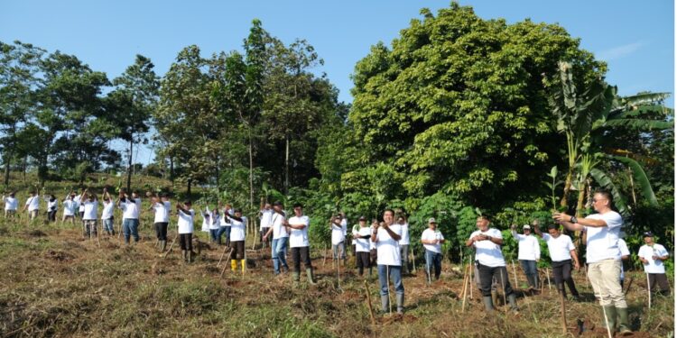 Setahun Tranformasi: PTPN I Regional 3 Lakukan Aksi Tanam Pohon Jabon, Pembagian Sembako dan Donor Darah