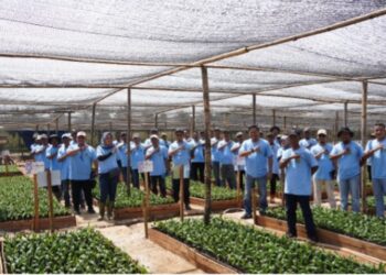 Tingkatkan Kompetensi dan Produktivitas Kebun, PTPN IV Regional VII Gelar In House Training