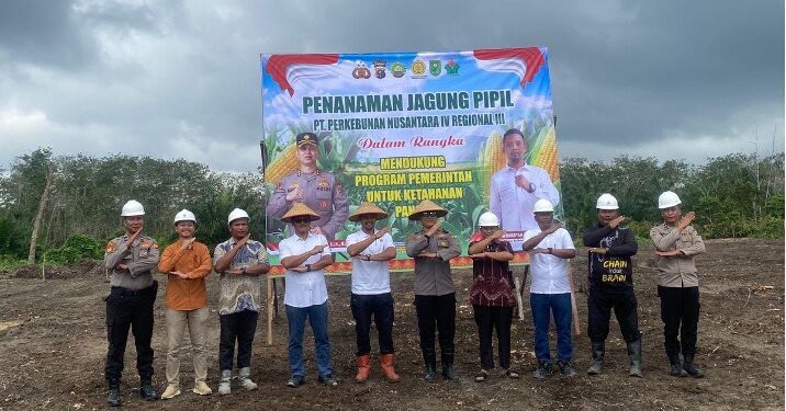 Sukses Padi Gogo, PTPN IV Regional III Bersama Polri Perkuat Ketahanan Pangan Melalui Budidaya Jagung