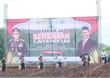 Regional 3 Turut Aksi Tanam Jagung Guna Mendukung Percepatan Swasembada Pangan