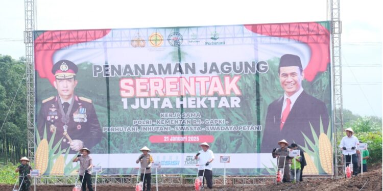 Regional 3 Turut Aksi Tanam Jagung Guna Mendukung Percepatan Swasembada Pangan