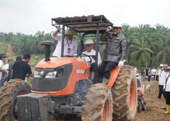 Komitmen Wujudkan Food Security, PTPN IV PalmCo Perluas Program Tanam Padi PTPN ke Provinsi Jambi
