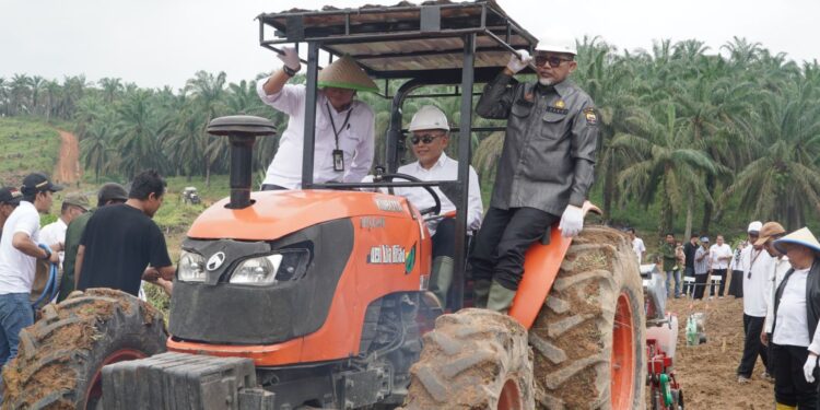 Komitmen Wujudkan Food Security, PTPN IV PalmCo Perluas Program Tanam Padi PTPN ke Provinsi Jambi