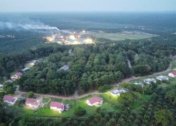 Komitmen Keberlanjutan, Kebun Terantam PTPN IV Regional III Catat Produksi Optimal