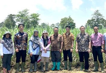 Kunjungan Kerja Sama Ajinomoto Ke P3GI-PT RPN: Identifikasi Kombinasi Sistem Budidaya Terbaik