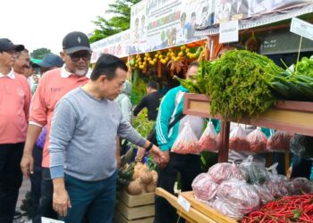 Meriahkan HUT Jambi Bersama Warga: Al Haris Buka Pasar Tani-Bagi Doorprize