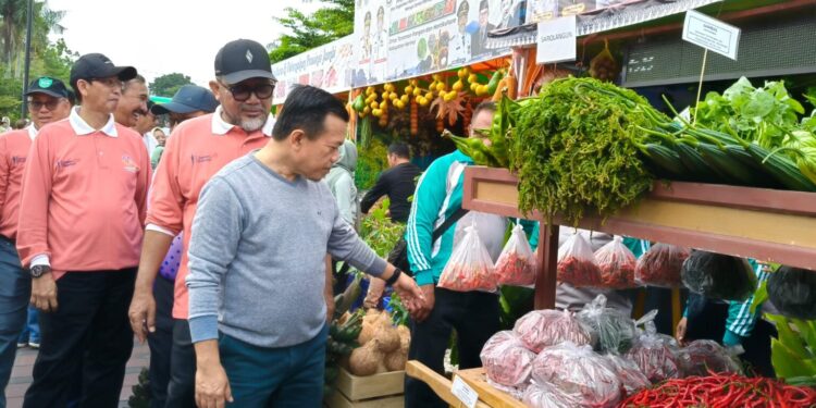Meriahkan HUT Jambi Bersama Warga: Al Haris Buka Pasar Tani-Bagi Doorprize
