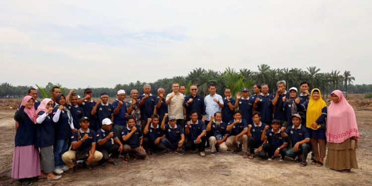 Kiat PalmCo Konsisten Tingkatkan Protas Petani di Atas Standar Nasional